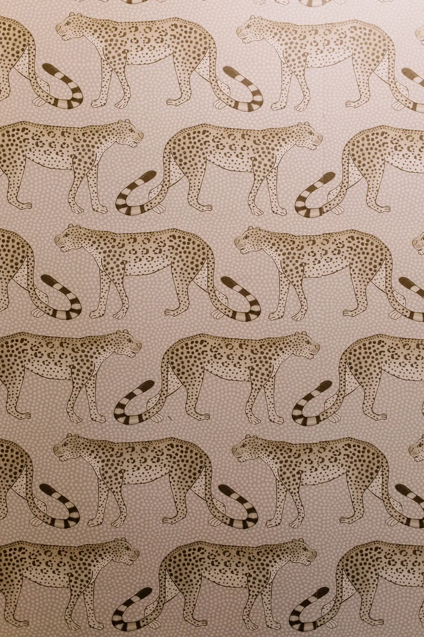 Wallpaper, a 6th Ave Homes finish-out selection