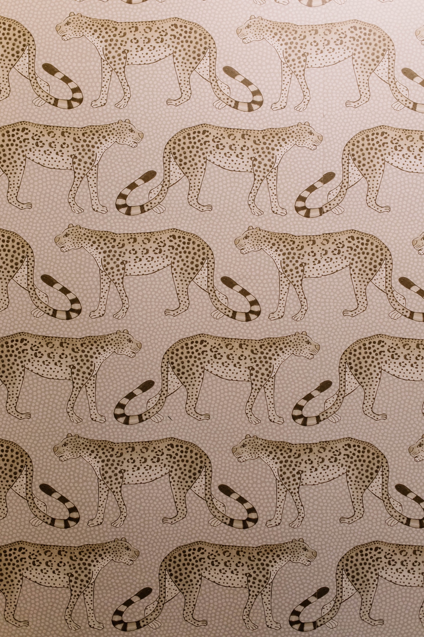 Wallpaper, a 6th Ave Homes finish-out selection