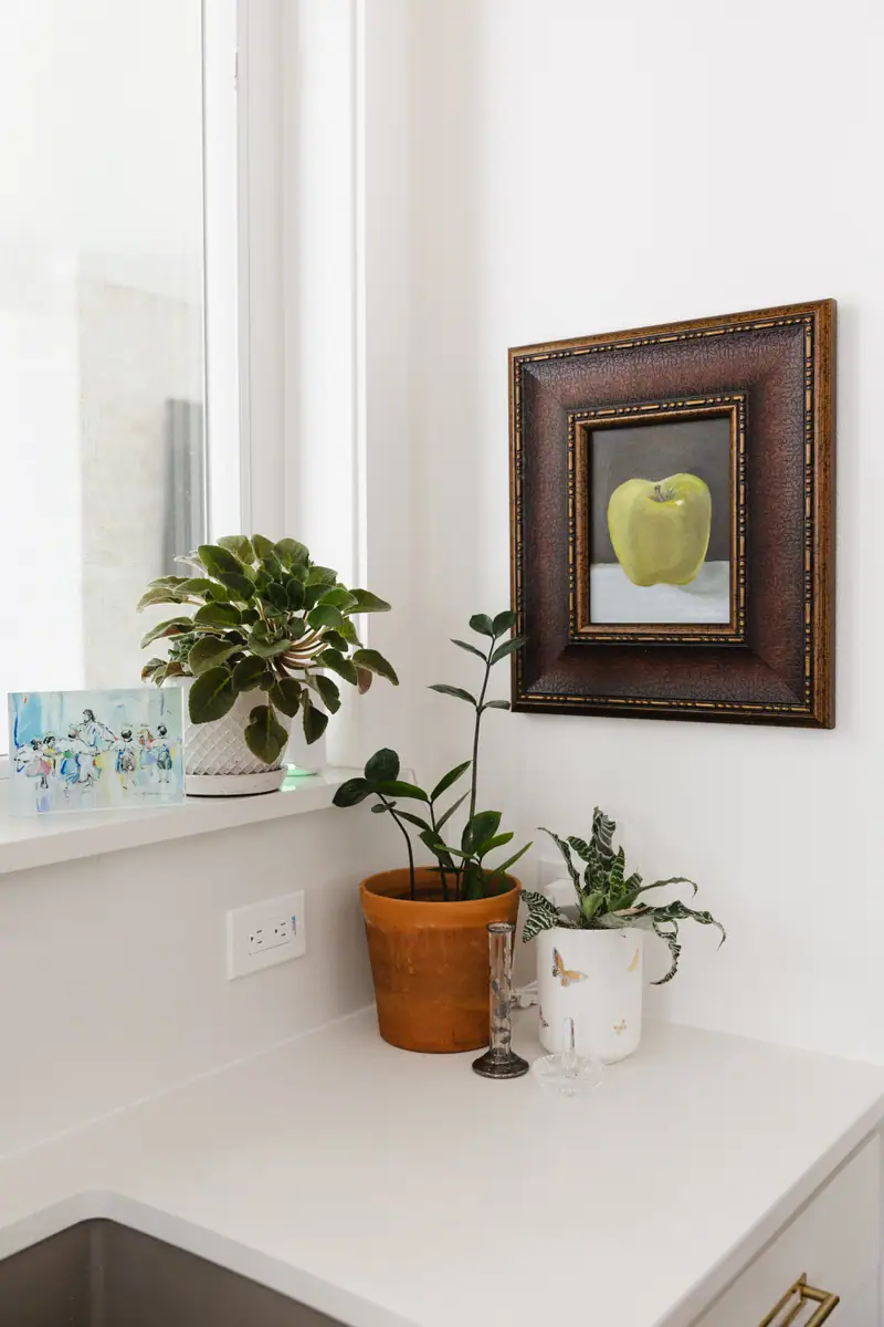 A still-life painting of a single apple in a carved gold frame beside a bright window, with potted plants on the counter below